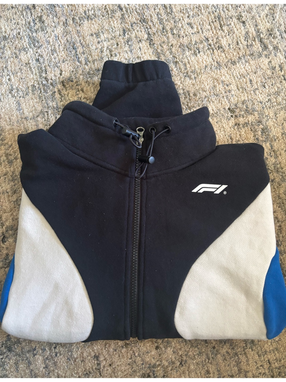 PacSun Black Formula 1 Logo ZipUp
